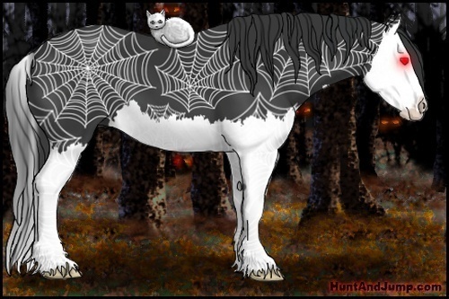 Horse Color:Black Splash