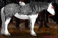 Horse Color:Black Splash