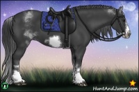 Horse Color:White Spotted Black Frame 