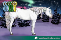 Horse Color:Nacre Watercolor Liver Chestnut Ice Splash Appaloosa Rabicano
