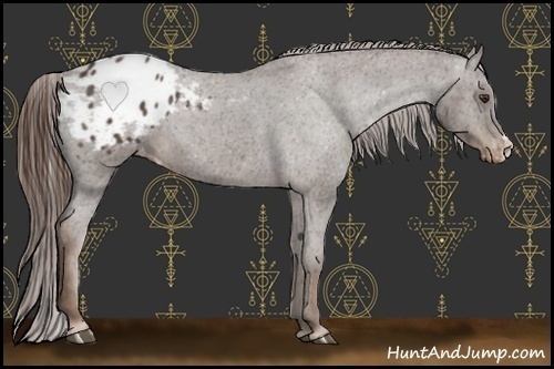 Horse Color:Liver Red Roan Blanket