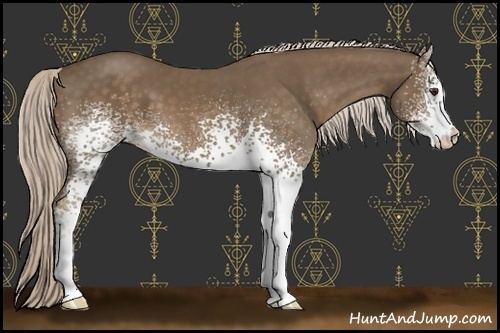 Horse Color:White Spotted Chocolate Palomino 