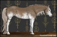 Horse Color:White Spotted Chocolate Palomino 