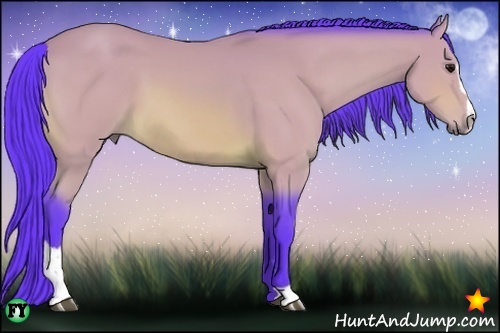 Horse Color:Watercolor Bay Sabino 