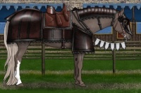 Horse Color:Silver Black 