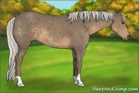 Horse Color:Silver Smoky Black 