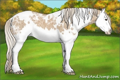 Horse Color:White Spotted Palomino Ice Splash