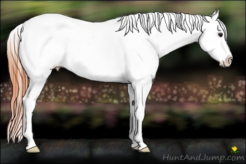 Horse Color:Bay Roan Dun Frame Varnish