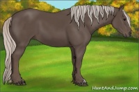 Horse Color:Silver Black 