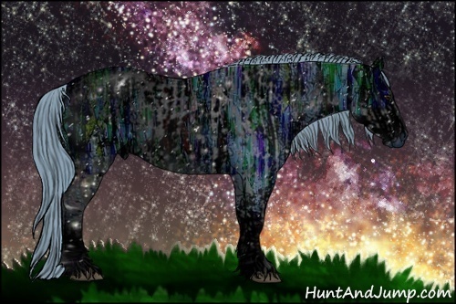 Horse Color:ERROR: UNKNOWN ANOMALY and ERROR: UNKNOWN ANOMALY