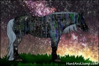 Horse Color:ERROR: UNKNOWN ANOMALY and ERROR: UNKNOWN ANOMALY