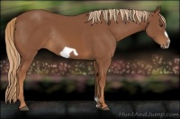 Horse Color:Chestnut Frame Rabicano 