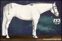 Horse Color:Cremello Roan Brindle