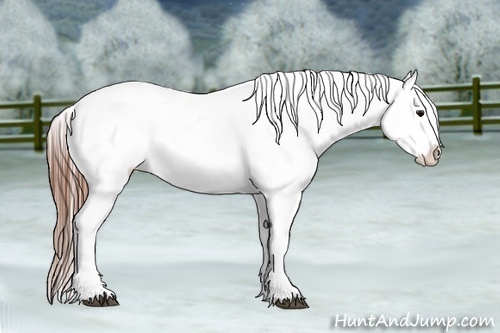 Horse Color:Black Splash Tobiano Varnish 