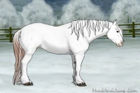 Horse Color:Black Splash Tobiano Varnish 