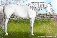 Horse Color:White Spotted Blue Roan Splash Frame Varnish