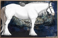 Horse Color:Liver Chestnut Sabino Snowcap