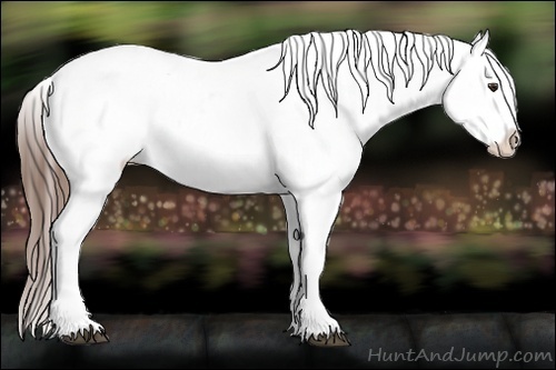 Horse Color:Liver Red Roan Sabino Appaloosa