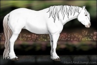 Horse Color:Liver Red Roan Sabino Appaloosa 