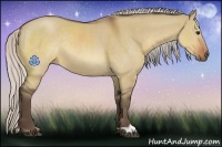 Horse Color:Silver Brown Dun Rabicano 