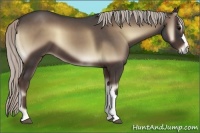 Horse Color:Silver Blue Onyx 