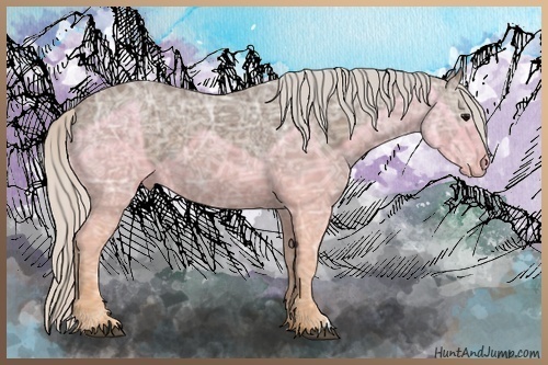 Horse Color:Silver Black Ice 