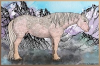 Horse Color:Silver Black Ice 