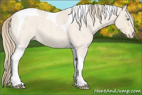 Horse Color:Perlino Roan Tobiano 