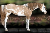 Horse Color:White Spotted Liver Chestnut Ice Pearl Splash Frame 