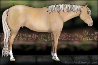 Horse Color:Silver Sable Champagne 