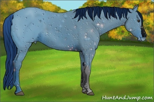 Horse Color:ERROR: UNKNOWN ANOMALY