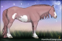 Horse Color:Watercolor Chestnut Frame