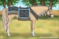 Horse Color:Gold Cream Champagne Splash 