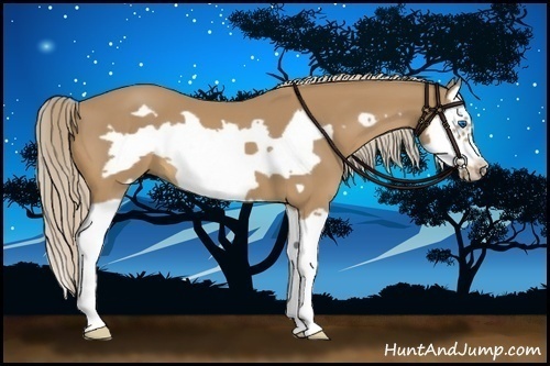Horse Color:Palomino Splash Frame 
