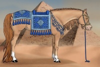 Horse Color:Gold Champagne