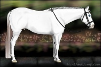 Horse Color:Bay Tobiano Frame Appaloosa