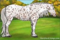 Horse Color:White Spotted Silver Brown Ice Roan Varnish 
