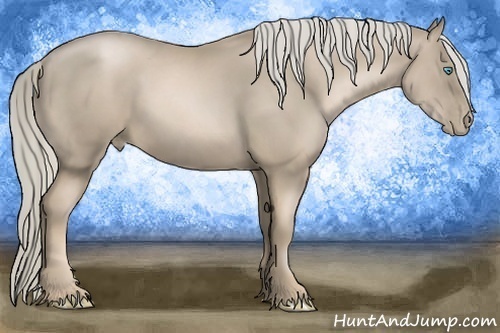 Horse Color:Chocolate Palomino Pearl 