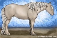 Horse Color:Chocolate Palomino Pearl