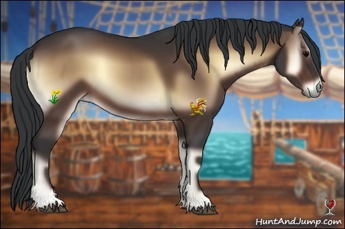 Horse Color:Bay Onyx 