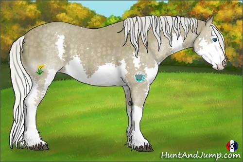 Horse Color:Silver Smoky Black Splash 