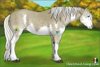 Horse Color:Silver Smoky Black Splash