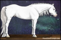 Horse Color:Silver Bay Dun Appaloosa