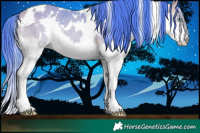 Horse Color:Watercolor White Spotted Buckskin Splash Rabicano