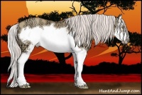 Horse Color:Silver Classic Champagne Ice Dun Splash Frame 