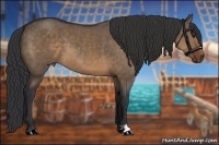 Horse Color:Brown Dun