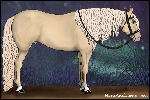 Horse Color:Gold Cream Champagne 