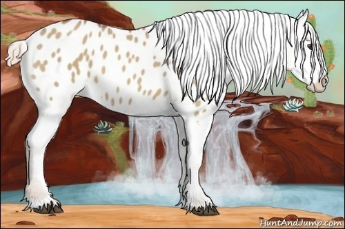 Horse Color:Palomino Dun Varnish