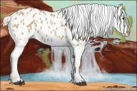 Horse Color:Palomino Dun Varnish 