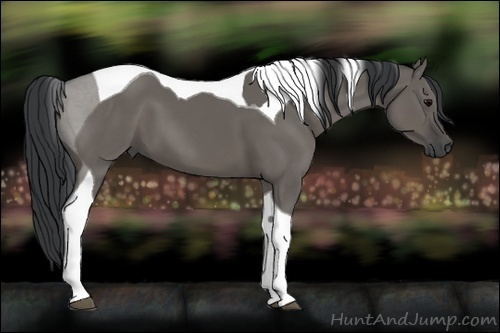 Horse Color:Grullo Tobiano 